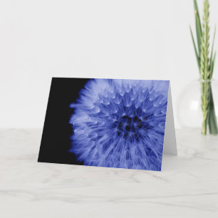 Paardenbloem fine art kaart