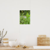 Paardenbloem Foto Poster (Keuken)
