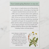 Paardenbloem Illustratie Landschapsarchitectuur Za Flyer (Achterkant)