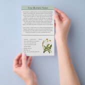 Paardenbloem Illustratie Landschapsarchitectuur Za Flyer (Hand)