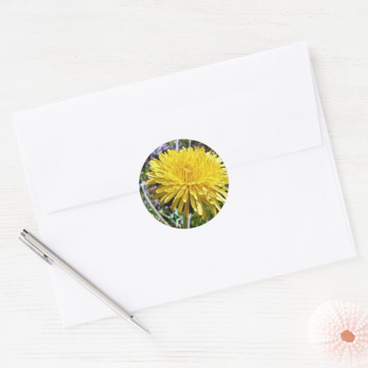 Paardenbloem in gras ronde sticker (Envelop)