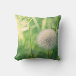 Paardenbloem in het groen met zacht zomerlicht kussen