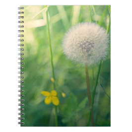 Paardenbloem in het groen met zacht zomerlicht notitieboek
