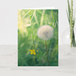 Paardenbloem in het groen met zachte zomerse licht kaart