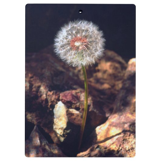 Paardenbloem Klembord (Achterkant)