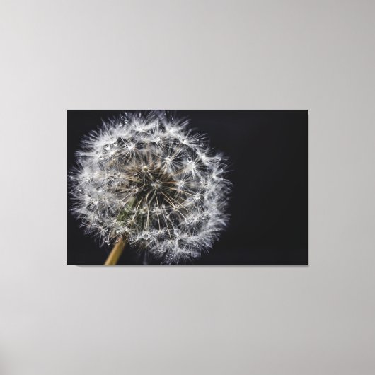 Paardenbloem Kunstprint Canvas Afdruk (Voorkant)