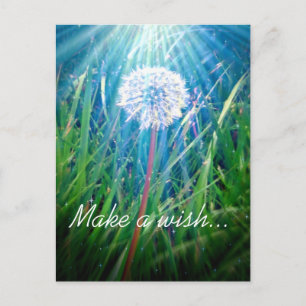 Paardenbloem Macro Briefkaart