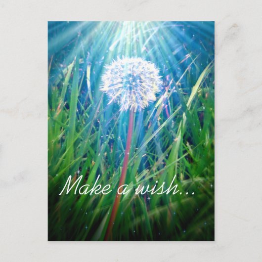 Paardenbloem Macro Briefkaart (Voorkant)