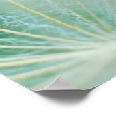 Paardenbloem macro poster (Hoek)