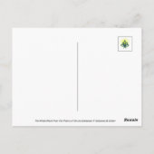 Paardenbloem Met Dauw Vreedzaam, Elegant, Natuur Briefkaart (Achterkant)
