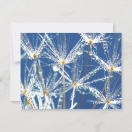 Paardenbloem Met Dauw Vrolijke Natuur Briefkaart