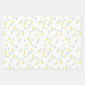 Paardenbloem minimalistisch floraal grillig gedoe  inpakpapier vel (Voorkant)