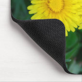 Paardenbloem Muismat (Hoek)