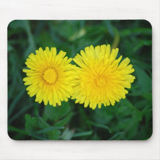 Paardenbloem Muismat (Voorkant)
