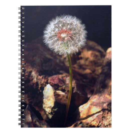 Paardenbloem Notitieboek (Voorkant)