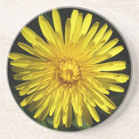 Paardenbloem Onderzetters (Voorkant)