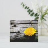 Paardenbloem Onkruid Briefkaart (Staand voorkant)