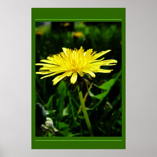 Paardenbloem Poster (Voorkant)