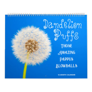 Paardenbloem Puffs: die geweldige Pappus Blowballs Kalender