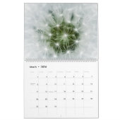 Paardenbloem Puffs: die geweldige Pappus Blowballs Kalender (Mar 2026)