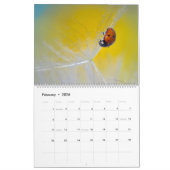 Paardenbloem Puffs: die geweldige Pappus Blowballs Kalender (Feb 2026)