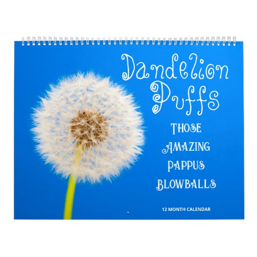Paardenbloem Puffs: die geweldige Pappus Blowballs Kalender (Hoes)