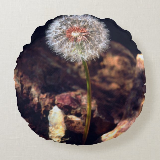 Paardenbloem Rond Kussen (Voorkant)