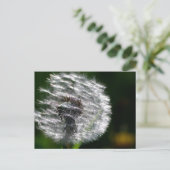Paardenbloem Seed Head - Briefkaart (Staand voorkant)