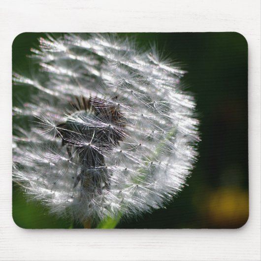 Paardenbloem Seed Head - Mousepad Muismat (Voorkant)