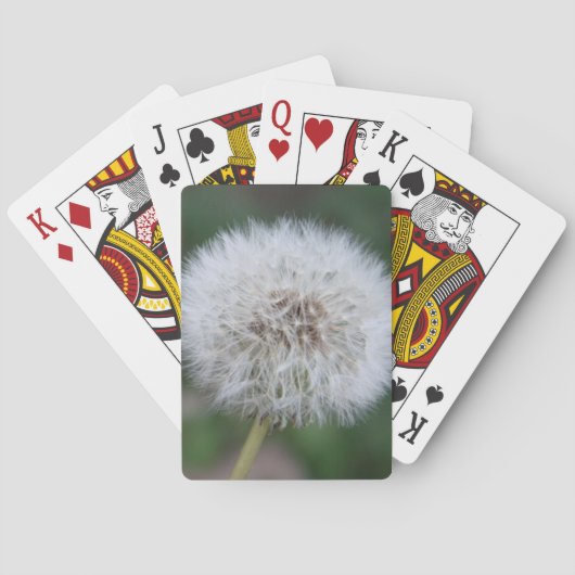 Paardenbloem Speelkaarten (Achterkant)