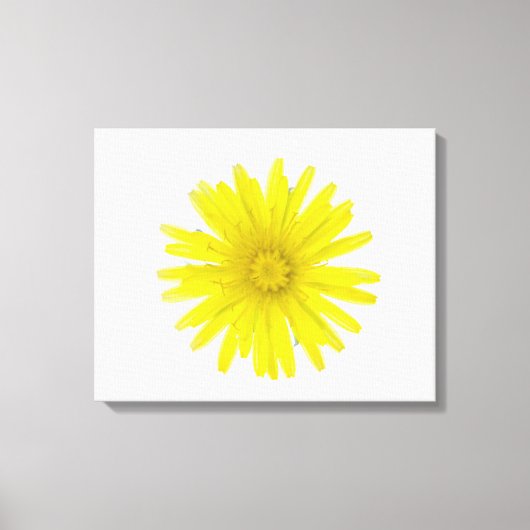 Paardenbloem (Taraxacum officinale), een compositi Canvas Afdruk (Voorkant)