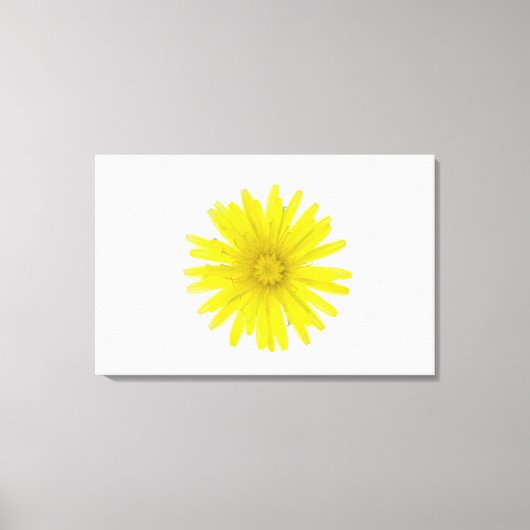 Paardenbloem (Taraxacum officinale), een compositi Canvas Afdruk (Voorkant)