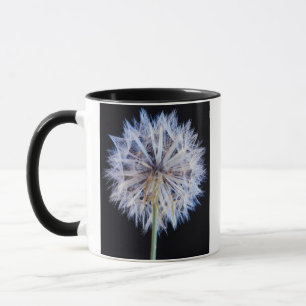 Paardenbloem (Taraxacum Officinale) Zaadhoofdje Mok