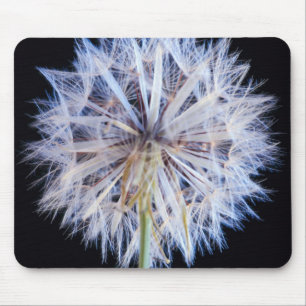 Paardenbloem (Taraxacum Officinale) Zaadhoofdje Muismat