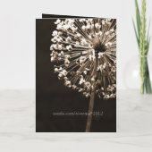 Paardenbloem wenst: "Wil je mijn bruidsmeisje zijn (Achterkant)