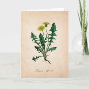 Paardenbloem wetenschappelijke illustratie wenskaa kaart