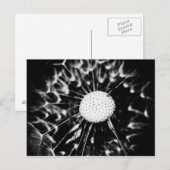 paardenbloem zwart briefkaart (Voorkant / Achterkant)