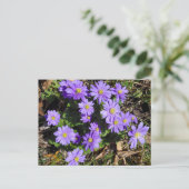 Paardenbloemen Briefkaart (Staand voorkant)
