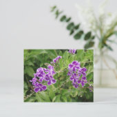 Paardenbloemen Briefkaart (Staand voorkant)