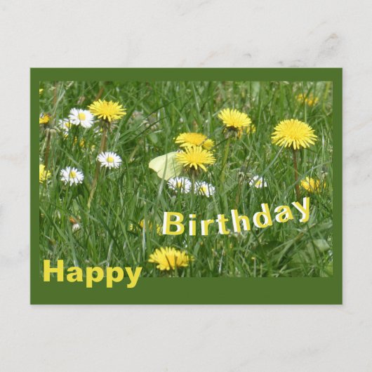 Paardenbloemen & Daisies Grass Field Verjaardag Br Briefkaart (Voorkant)