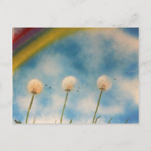 Paardenbloemen in de wind briefkaart