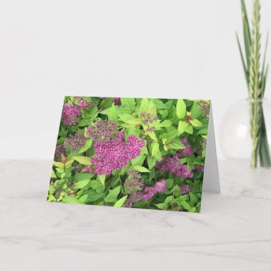 Paardenbloemen Kaart (Voorkant)