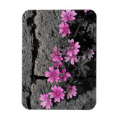 Paardenbloemen Magneet (Verticaal)