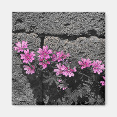 Paardenbloemen Magneet (Voorkant)