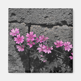 Paardenbloemen Magneet