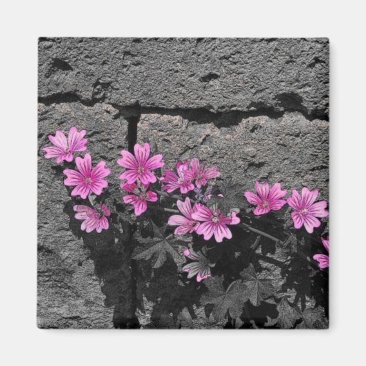 Paardenbloemen Magneet (Voorkant)