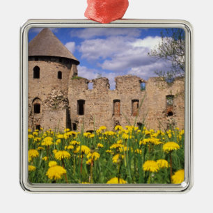 Paardenbloemen omringen Cesis Kasteel in centraal Metalen Ornament