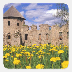 Paardenbloemen omringen Cesis Kasteel in centraal Vierkante Sticker