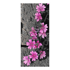 Paardenbloemen Reclamekaart