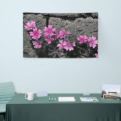 Paardenbloemen Spandoek (Beurs)